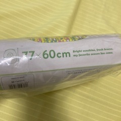 【未開封】スイムボートの画像