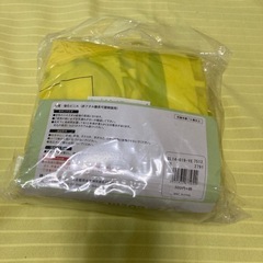 【未開封】スイムボートの画像