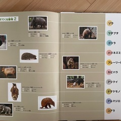 絵本「ほんとのおおきさ動物園」の画像