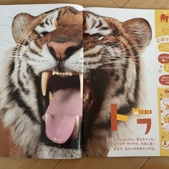 絵本「ほんとのおおきさ動物園」の画像