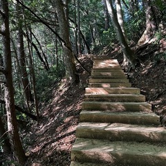 7/5（土）AM 高尾山ハイキング - 八王子市