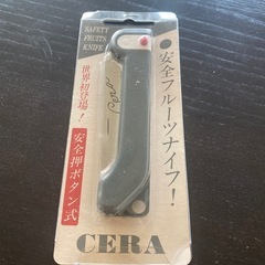 【未使用】フルーツナイフ