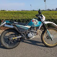豊田市 セロー225 山遊び仕様 