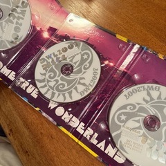 DREAMS COME TRUEワンダーランドDVDの画像