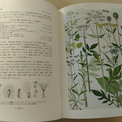 『原色日本植物図鑑（上）草本編Ⅰ・合弁花類』北村四郎・村田 源・堀 勝共著　保育社の画像