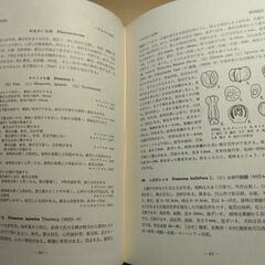 『原色日本植物図鑑（下）草本編Ⅲ・単子葉類』北村四郎・村田 源・小山鐡夫共著　保育社の画像