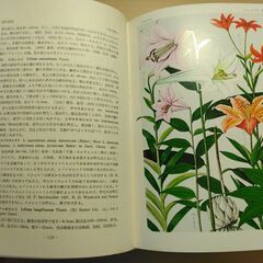 『原色日本植物図鑑（下）草本編Ⅲ・単子葉類』北村四郎・村田 源・小山鐡夫共著　保育社の画像