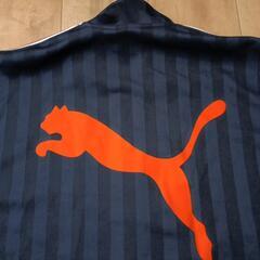 美品★PUMA　ジャージ　上のみの画像
