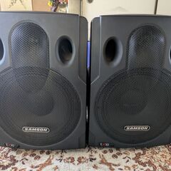 直接引き取り限定SAMSON 12インチスピーカ　ペアー