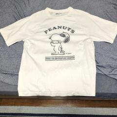 Ｔシャツ４枚　売れなければセカスト買取の画像