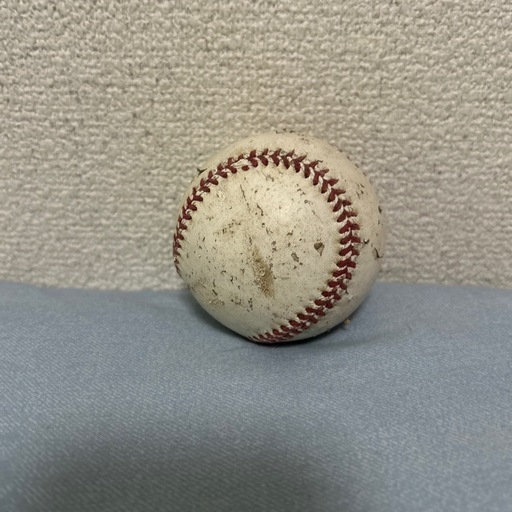 送料無料 硬式野球ボール50球 大量 硬球 硬式球 硬式ボール