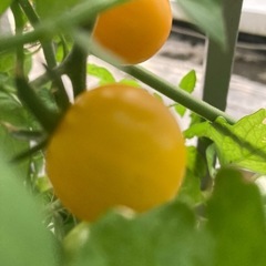 温暖化対策について、お子様の下校児の熱中症対策