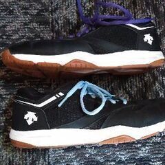 ★ DESCENTE　24cm　バレーボールシューズ　中古の画像