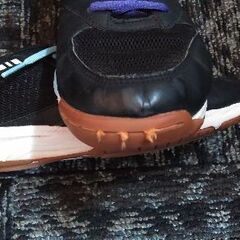 ★ DESCENTE　24cm　バレーボールシューズ　中古の画像