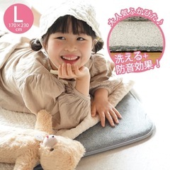 状態良好！ふかぴた 防音