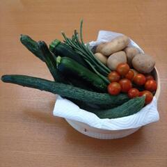 採れたて野菜　5種類セットの画像