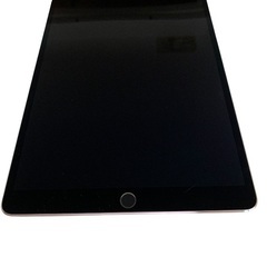 iPad Pro 10.5インチ 256GB WiFi モデル 美品
