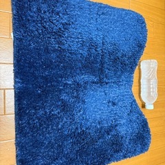ニトリのトイレマット(ペットボトルはサイズ比較用)