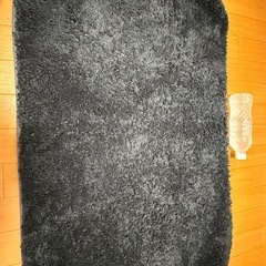 玄関マット(ペットボトルはサイズ比較用)