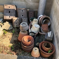花鉢の画像