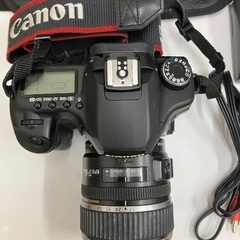 Canon EOS 40D＋レンズ＋バッテリー2個＋ケースの画像