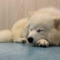 📸一緒に写真撮り歩きしませんか？