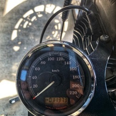 仙台発✨XL1200R カスタム✨低走行‼︎ 2007年式インジェクションの画像