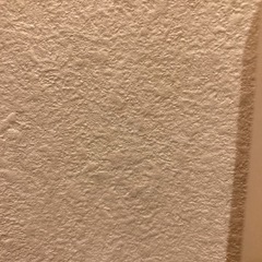 サンゲツ　壁紙　クロス　5本セット②の画像