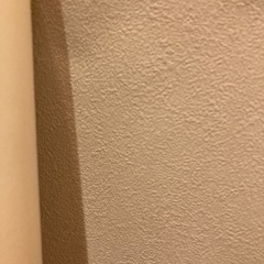 サンゲツ　壁紙　クロス　5本セット②の画像