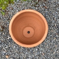 美品　テラコッタ鉢の画像