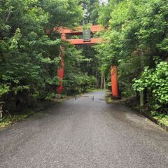 バス旅の参加者募集！ - その他