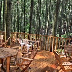 バス旅の参加者募集！ − 埼玉県