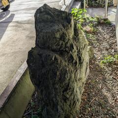 大きい庭石の画像