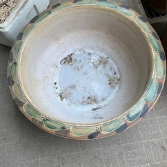睡蓮鉢