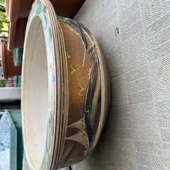 睡蓮鉢の画像