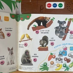 無料♡ わくわくどつぶつずかんの画像