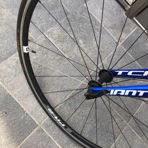 GIANT TCR0 2016 中古 アルミ ロードバイク Mサイズ (シロクマ