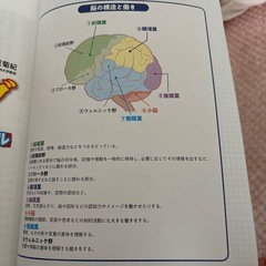 大人の脳力トレーニングドリル
の画像