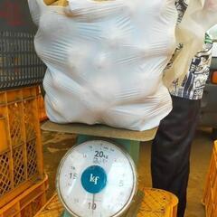【増量キャンペーン中！】訳アリじゃがいも（とうや）詰め放題