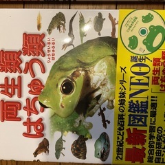 夏休みの自由研究に図鑑はいかがの画像