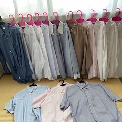 メンズＹシャッ１５枚