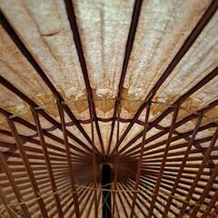 蛇の目傘の画像