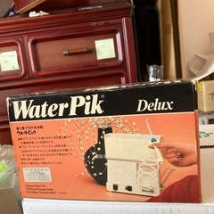 WaterPik Delux