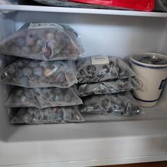 無農薬ブルベリーの画像