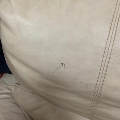 取りに来れる方にお譲りします ソファの画像