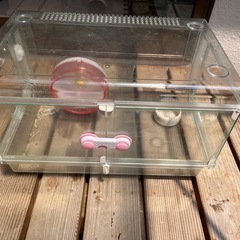 ハムスターケージ決まり