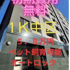⭐初期費用無料⭐ ペット飼育可能で広めの洋室が素敵なお部屋…