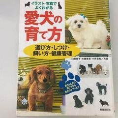 0629-096 【無料】 本