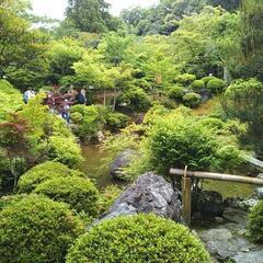 京都散策サークル・新規メンバー若干名募集　次回散策は7/19(土)実施 − 京都府