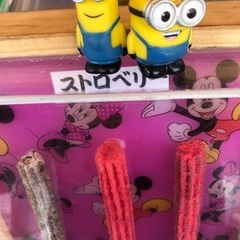 前橋七夕まつりでの屋台のお仕事の画像